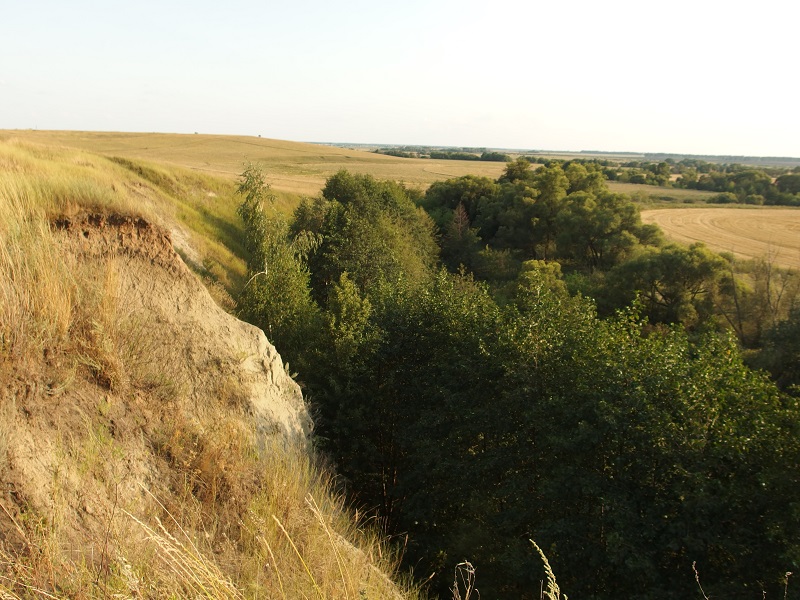 P8244440.JPG.0c2ca48e46a7f807a424a53864e79aab.JPG