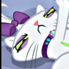 Katze
