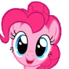 Alexshy