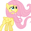 Dragonshy