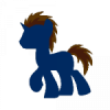 Polskipony4