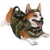 Become A Corgi