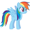 Fluttershyy